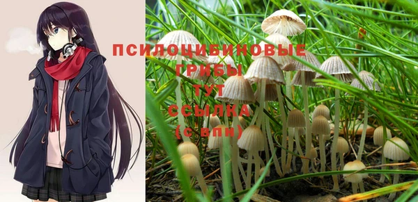 ALPHA PVP Киренск