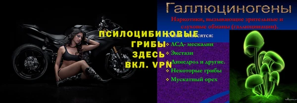 дмт Кинешма