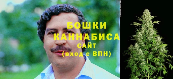 дмт Кинешма