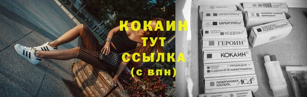 дмт Кинешма