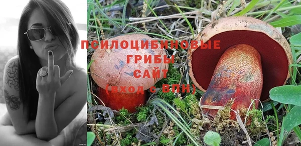 дмт Кинешма