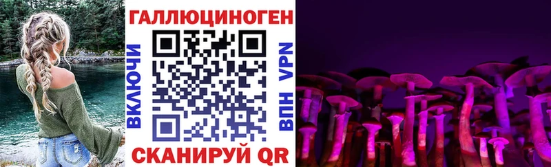 Псилоцибиновые грибы прущие грибы Кунгур
