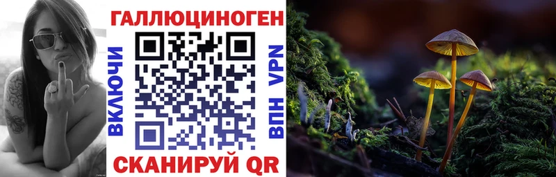 Галлюциногенные грибы мухоморы  Купить где  Кунгур 